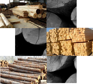 百年品質(zhì)傳承，源于每一環(huán)節(jié)的考究